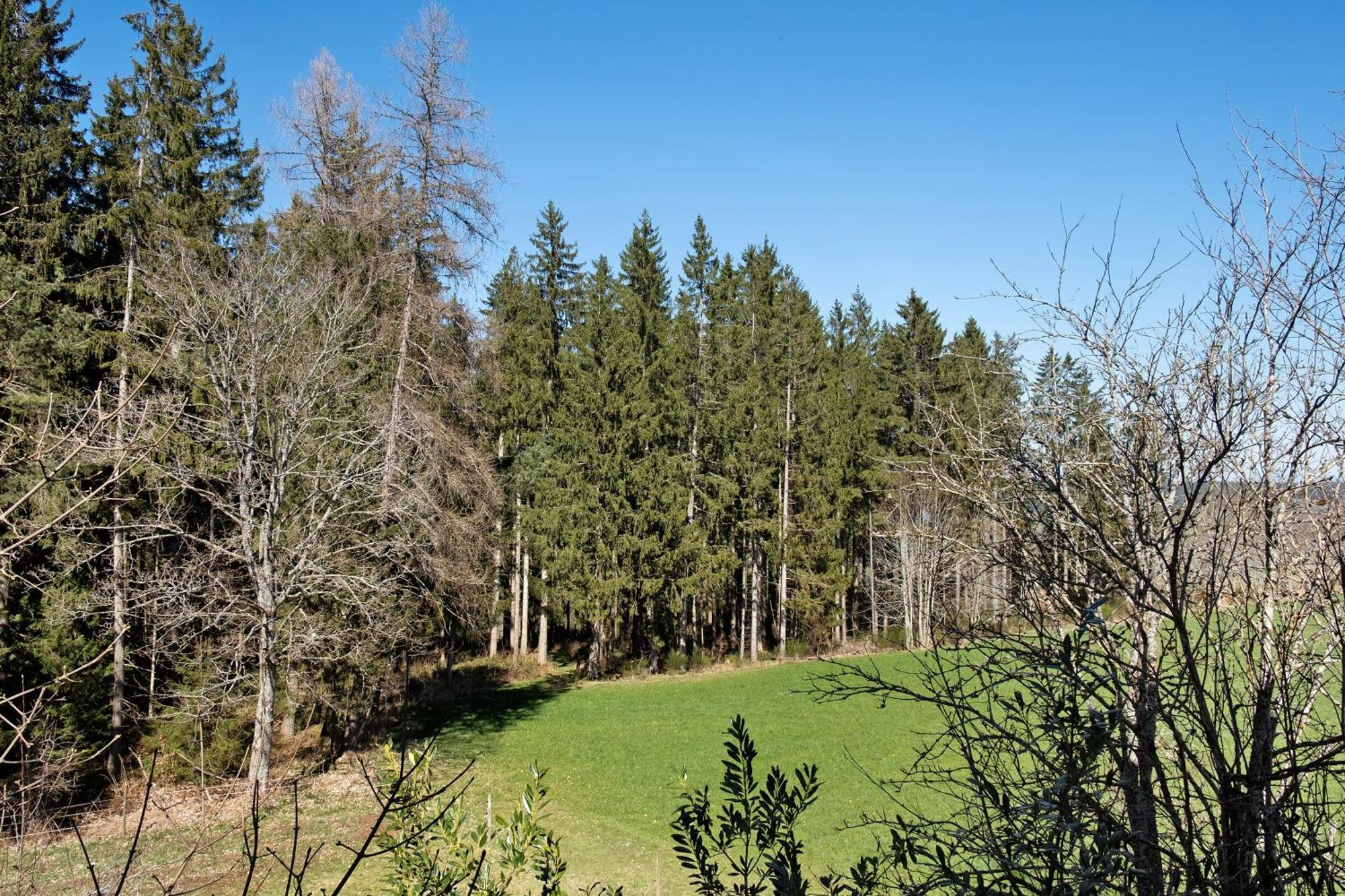 Ferienwohnung Schartenschmiede Sankt Georgen im Schwarzwald Exterior foto